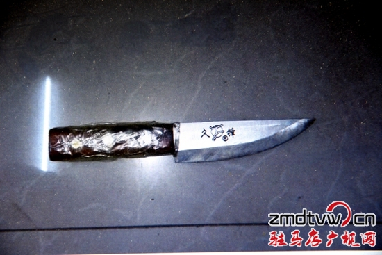 平輿警方3小時抓獲蒙面持刀入室綁架搶劫嫌犯