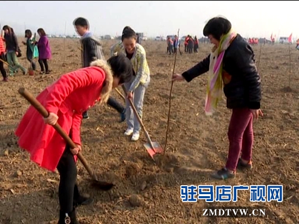 獻(xiàn)禮三八節(jié)，共植巾幗林_20160307091028.JPG