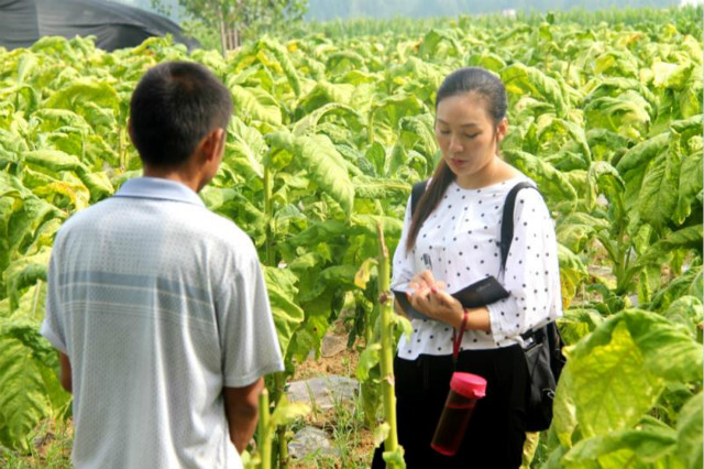 薛桂蕊：扎根基層心系百姓 脫貧攻堅爭做先鋒模范