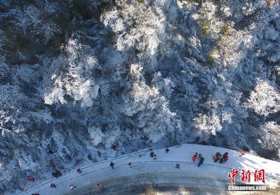 12月20日，重慶金佛山銀裝素裹雪景美如畫，吸引了不少游客前來觀賞。當(dāng)日，第19屆金佛山冰雪節(jié)正式開幕。 陳超 攝