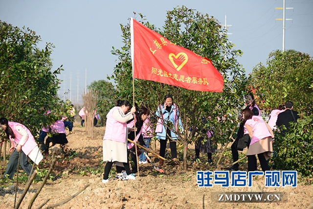 07志愿者在植樹.JPG