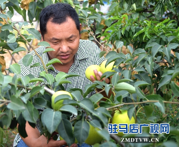 正陽(yáng)永興鎮(zhèn)李軍：昔日“貧困戶”今日“扶貧戶”