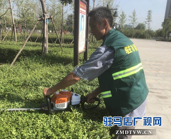 高溫下的園林工人：用汗水澆灌城市綠蔭