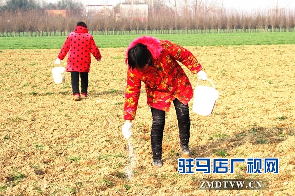 汝南縣古塔街道國(guó)土綠化提升行動(dòng)掀高潮