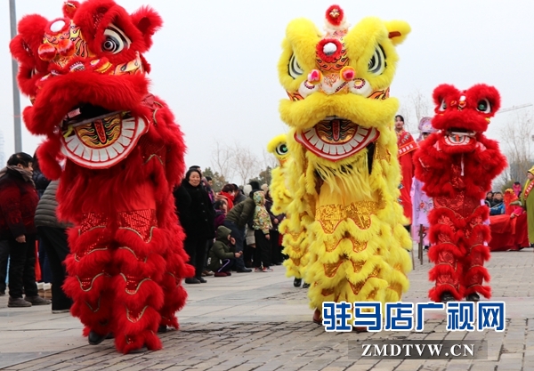 舞龍、耍獅、扭秧歌 駐馬店民間藝術(shù)展演吸引數(shù)千市民圍觀