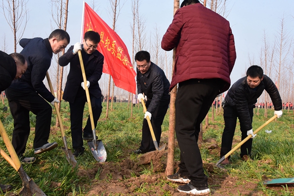  汝南：草長鶯飛二月天 大好春光植樹去