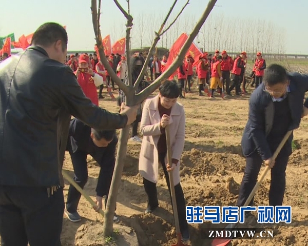 西平縣舉行大型植樹活動暨青年林揭牌儀式