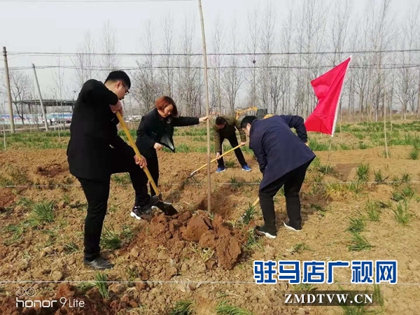 汝南縣三橋鎮(zhèn)黨員干部參加義務(wù)植樹活動(dòng)