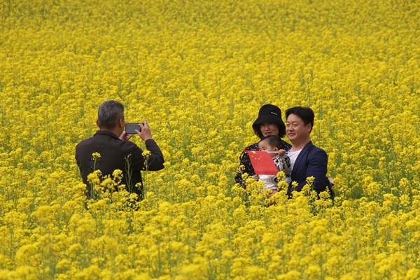 駐馬店魯灣小鎮(zhèn)首屆千畝油菜花文化季開(kāi)幕