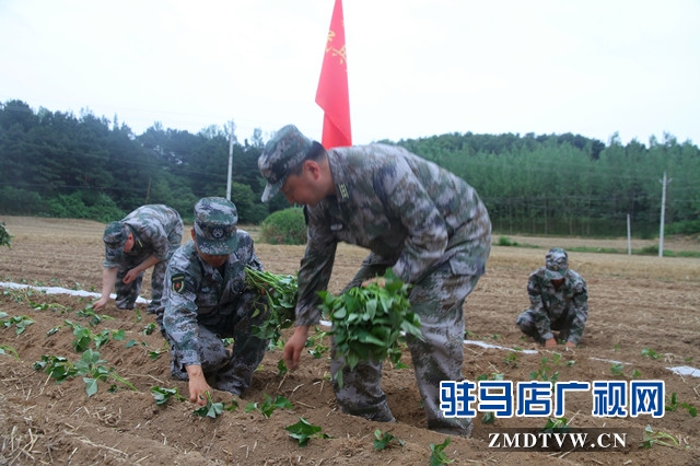 驛城區(qū)人武部：結(jié)對幫扶受歡迎