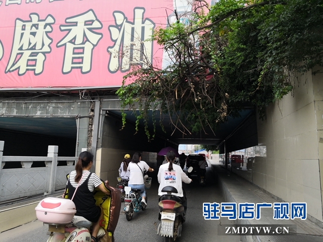 駐馬店市區(qū)中華路地下通道下垂樹枝有隱患