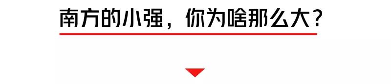 螂有N種死法，真正靠譜的是這2種 