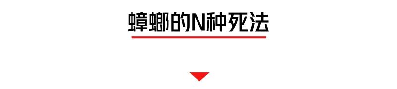 螂有N種死法，真正靠譜的是這2種 