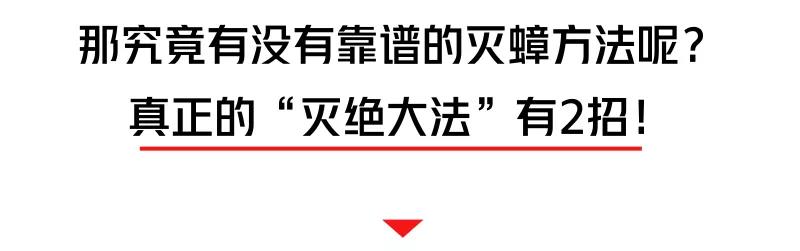 螂有N種死法，真正靠譜的是這2種 