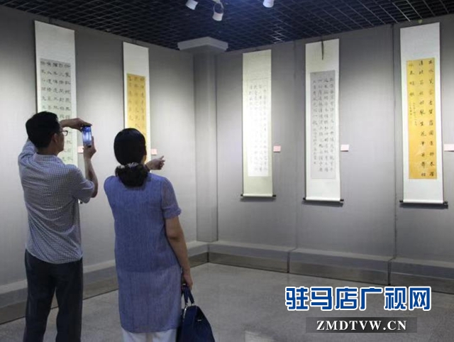 駐馬店市青年書法作品展開幕  50余件書法作品展出