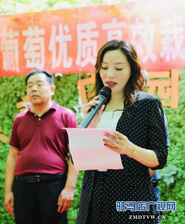 葡萄熟了！駐馬店杰美葡萄莊園盛大開園