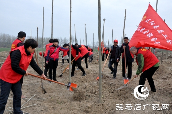 正陽縣開展秋冬添新綠義務植樹活動