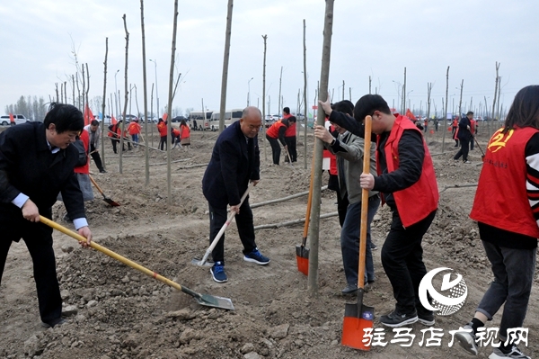 正陽縣開展秋冬添新綠義務植樹活動