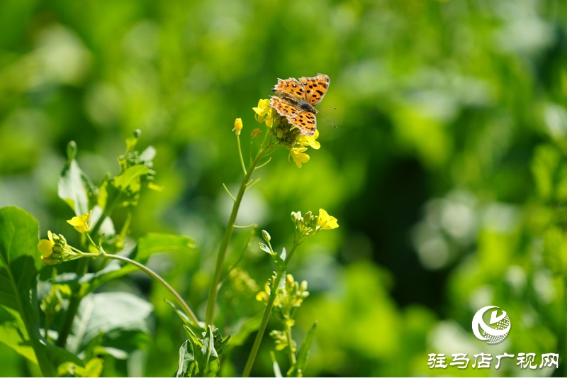 我們堅守，為了早日重逢