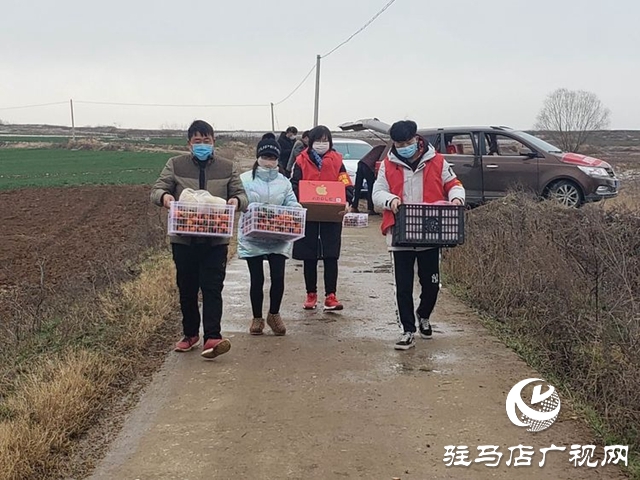 泌陽陳薄地村：“跑跑團(tuán)”讓群眾安心居家