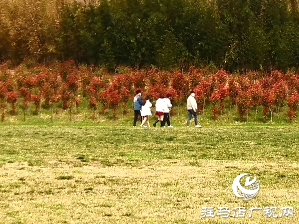 嵖岈山恢復開園 首日迎客2600多人