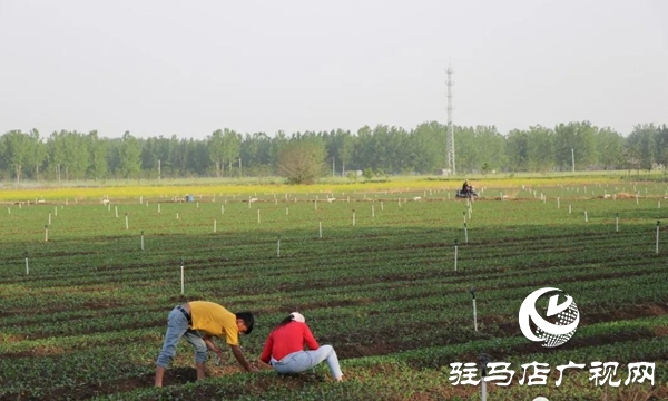 五一勞動節(jié):向堅(jiān)守崗位的勞動者致敬,你們忙碌的身影最美麗！