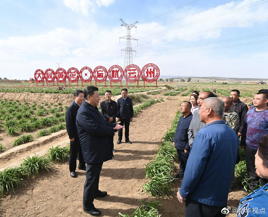 習(xí)近平：讓黃花成為群眾脫貧致富的“搖錢(qián)草”