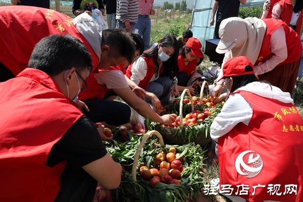 黨員為農(nóng)產(chǎn)品代言，政協(xié)助力脫貧攻堅 