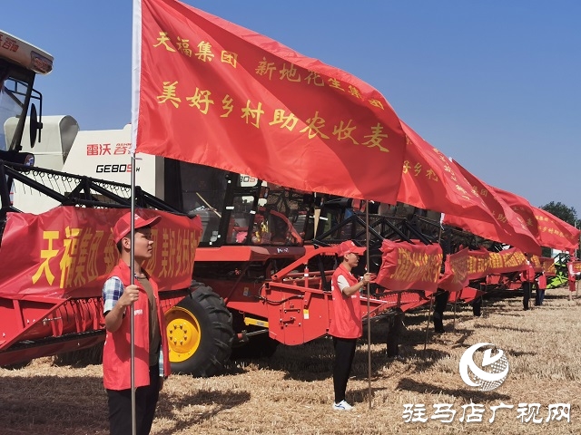 天福、新地花生集團(tuán)助農(nóng)收麥忙 三夏時(shí)節(jié)確保顆粒歸倉