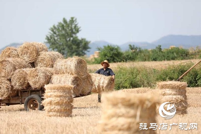 駐馬店驛城區(qū)：推進(jìn)秸稈回收變廢為寶