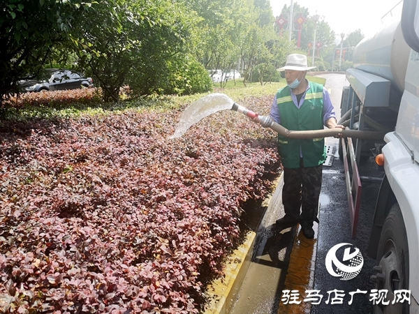 市園林綠化中心出動(dòng)十余輛水車為綠化帶“消暑解渴”