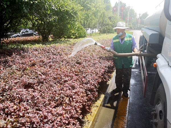 市園林綠化中心出動(dòng)十余輛水車為綠化帶“消暑解渴”