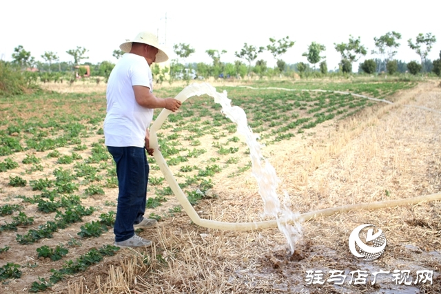 汝南縣古塔街道抗旱搶種不誤農(nóng)時