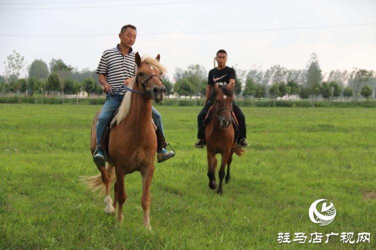 平輿縣李屯鎮(zhèn)小毛驢農場讓你體驗水上狂歡清涼一夏