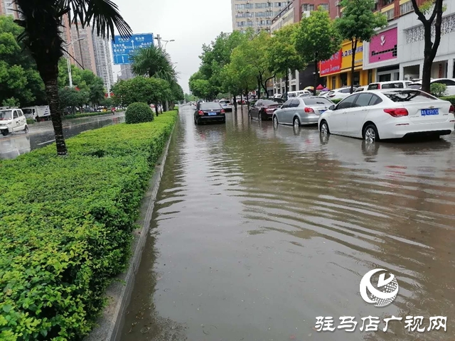 遇到積水路面如何開車？