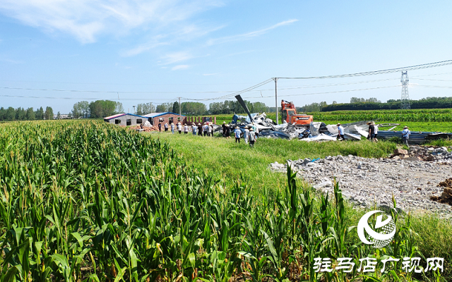 駐馬店市驛城區(qū)對(duì)農(nóng)村亂占耕地建房8類問(wèn)題“零容忍”