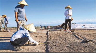 遺址格局逐步清晰，歷史文化內(nèi)涵日益豐富  北庭故城考古發(fā)現(xiàn)不斷深入