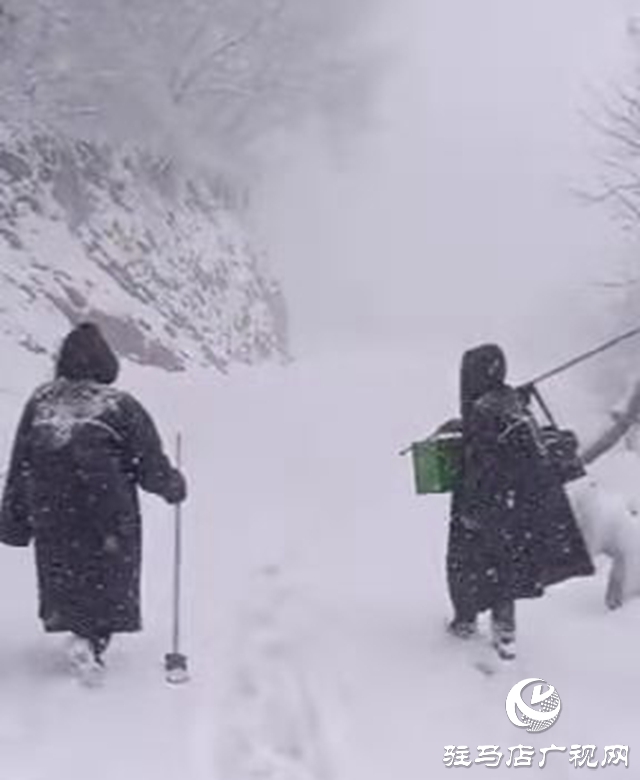 頂風(fēng)雪 駐馬店廣播電視發(fā)射臺(tái)值班人員步行上山換班