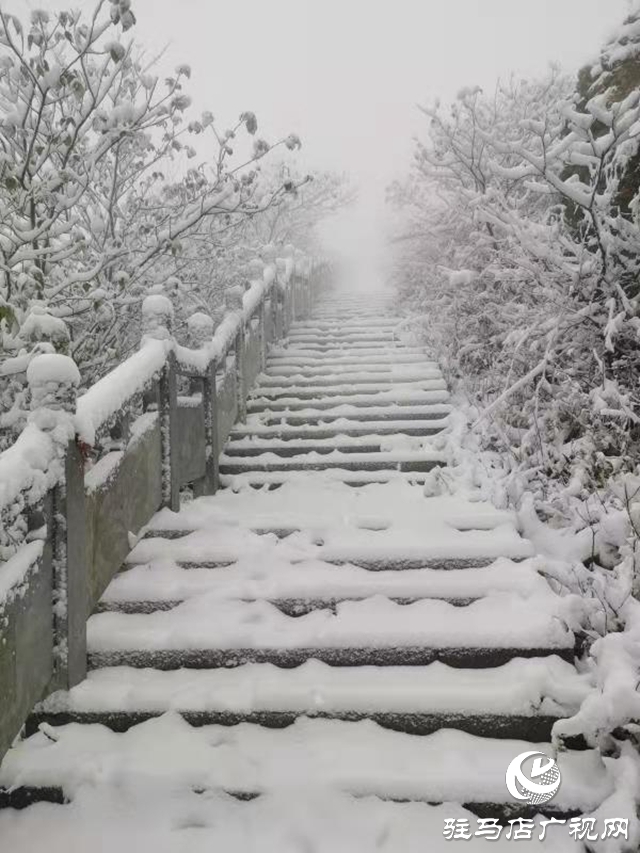 頂風(fēng)雪 駐馬店廣播電視發(fā)射臺(tái)值班人員步行上山換班