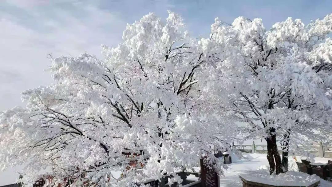 “老家河南 豫來粵好”河南省冬季文化旅游產(chǎn)品推介會在廣州舉辦