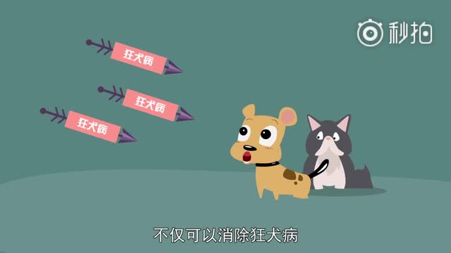 狂犬病有多狂？