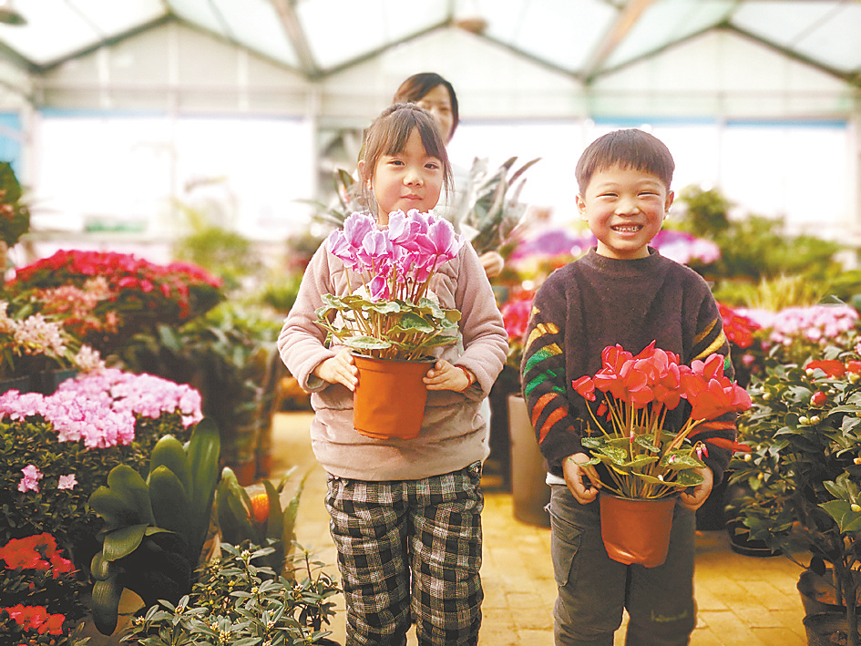 駐馬店：花卉市場春意濃 時尚消費(fèi)迎新年