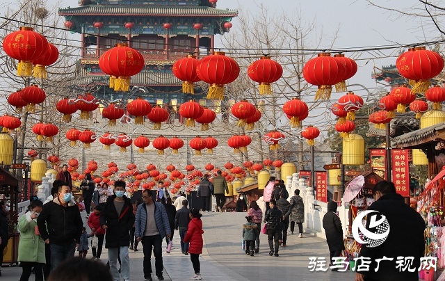 駐馬店：張燈結(jié)彩年味濃 年貨市場迎春忙