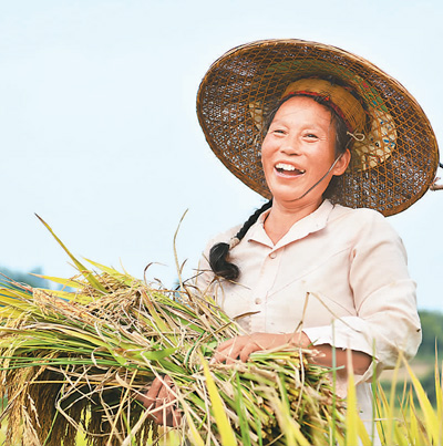 代表委員熱議政府工作報(bào)告  端穩(wěn)飯碗，保障糧食安全有底氣（民生共話）