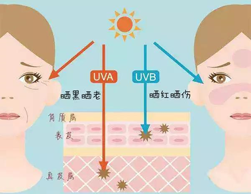 “過度防曬”真的有必要嗎？