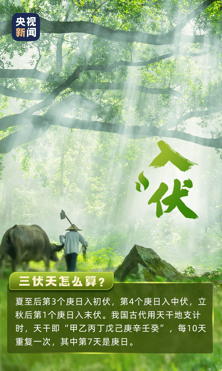 三伏天來了，這些養(yǎng)生寶典請收下