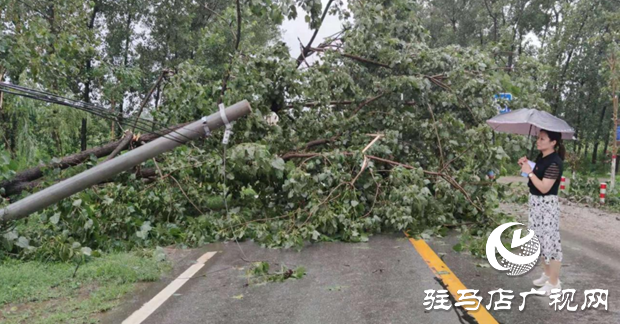 正陽縣彭橋鄉(xiāng)黨員干部冒雨守護群眾安全