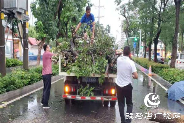 風(fēng)雨刮倒樹木成隱患 園林工人忙清理還道路暢通