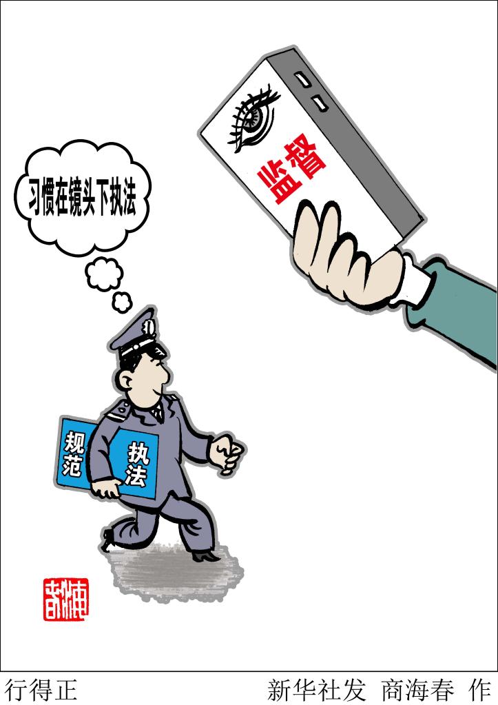 法治青年說丨今后五年法治政府怎么建？這個文件給了答案