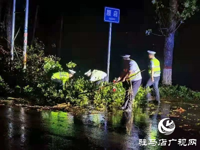 駐馬店交警奮戰(zhàn)一線守護平安